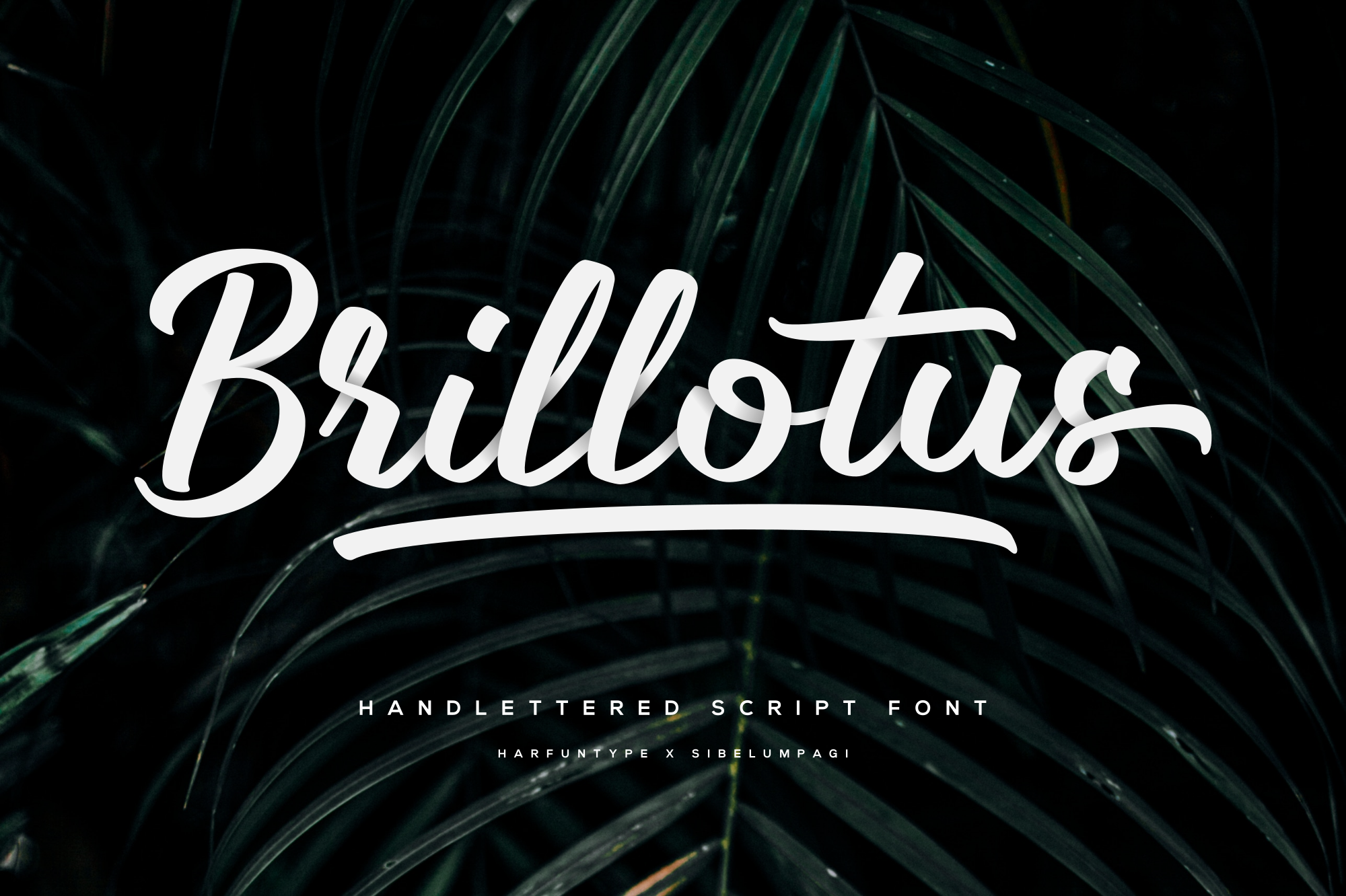 Brillotus - Script Font product preview image by SibelumPagi
