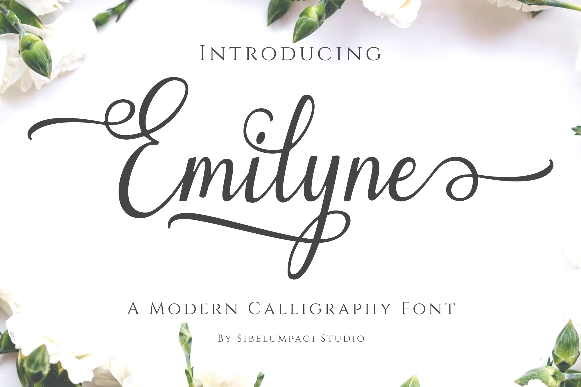 Emilyne - Calligraphy Font product preview image by SibelumPagi