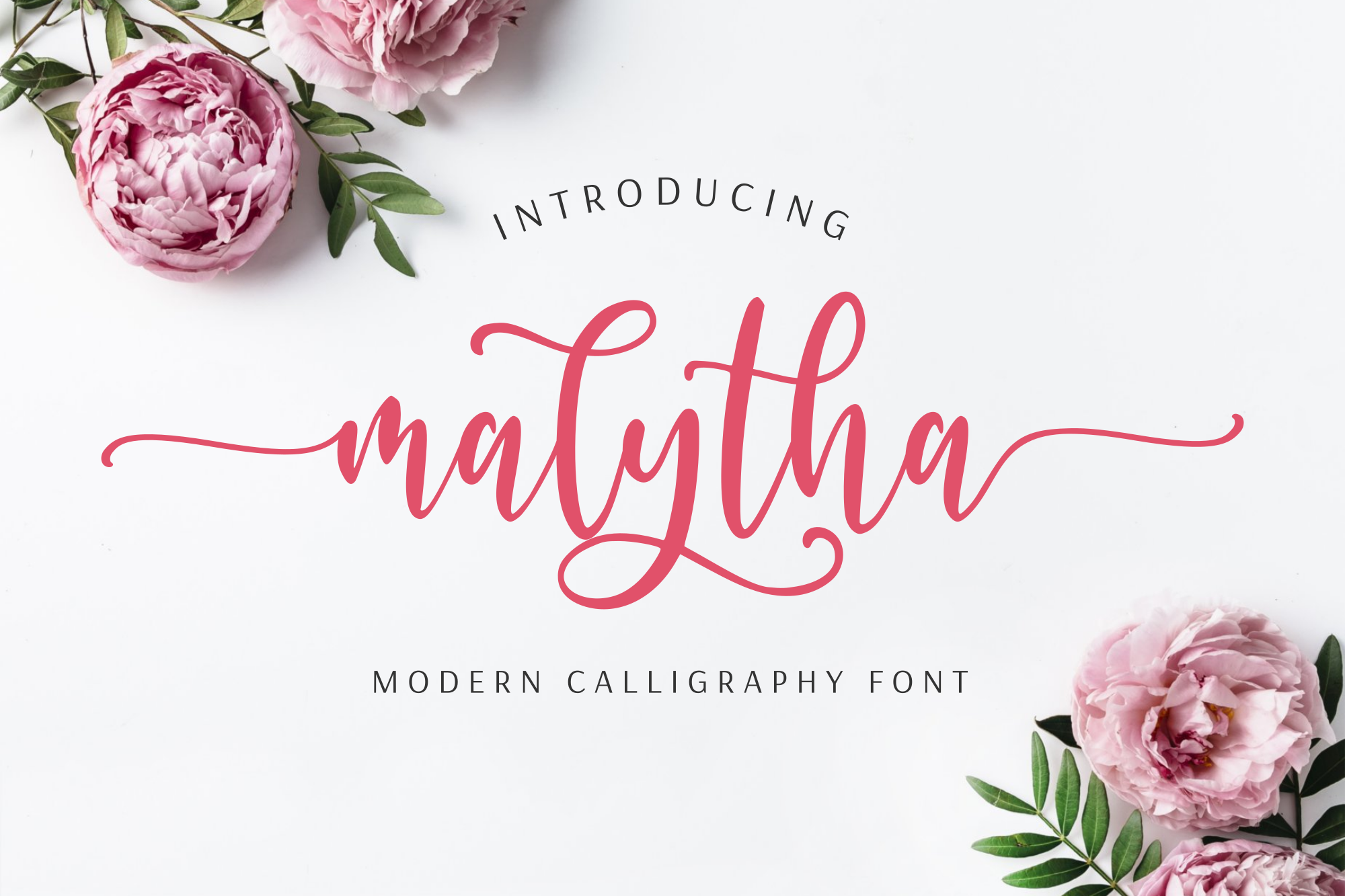Malytha - Modern Calligraphy Font product preview image by SibelumPagi