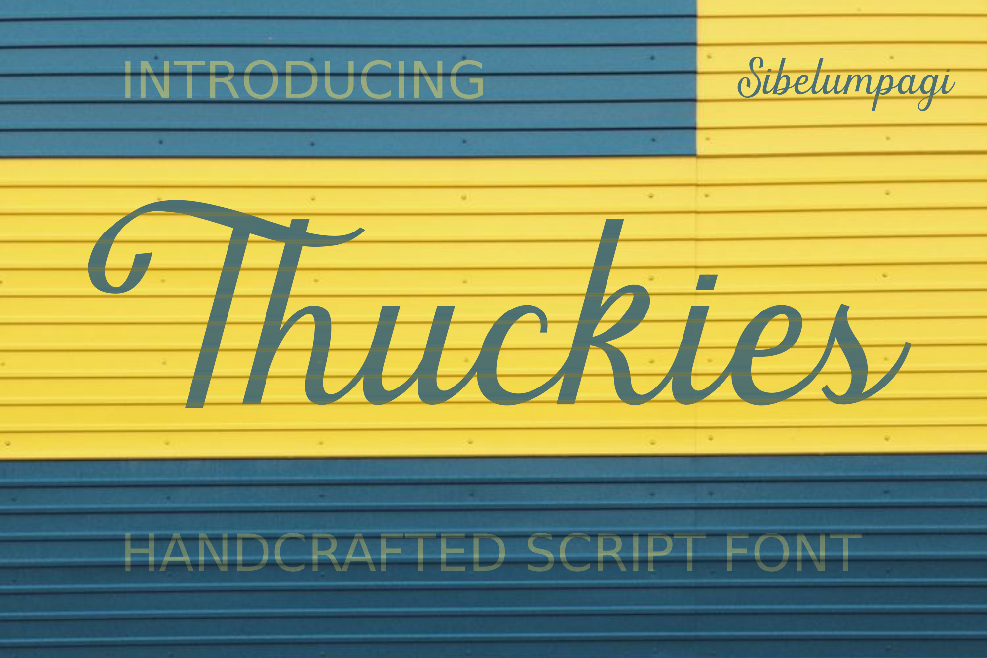 Thuckies - Script Font product preview image by SibelumPagi