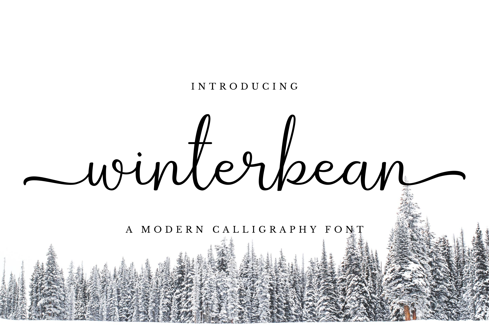 Winterbean - Modern Calligraphy Font product preview image by SibelumPagi
